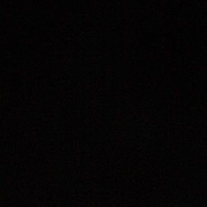 Meet your Posher, Lesha